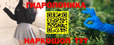 СК Гай