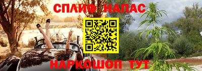 СК Гай